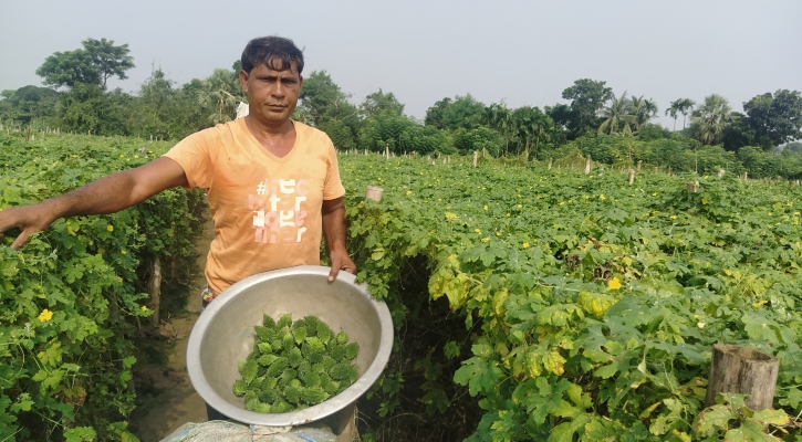 হাটছালা এখন যেন ‘উচ্ছের গ্রাম’